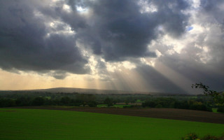 Field clouds sky trees foreground 2 - tonalism free wallpaper