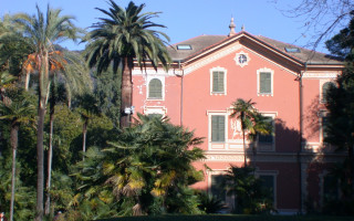 Large pink building palm trees 3 - free architecture wallpaper