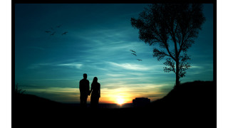 Couple tree sunset birds flying - a couple of people free wallpaper for desktop