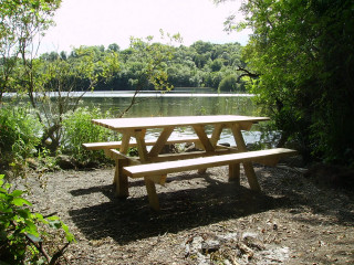 Picnic table lake shore forest - ecological art free wallpaper