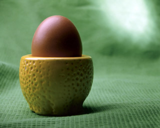 Brown egg yellow cup green 3 - soft free wallpaper