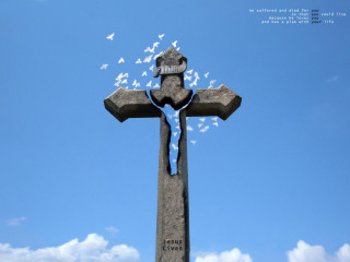 Cross birds flying sunny day - bird free wallpaper