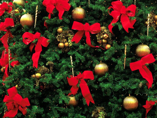 Christmas tree red bows gold - a green tree free wallpaper