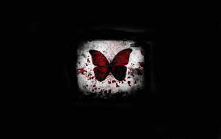 Butterfly blood wings square frame - blood free wallpaper