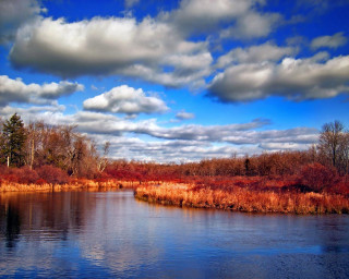 River trees grass cloudy sky 3 - alexander brook free wallpaper