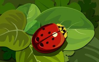 Ladybug green leaf plant yellow - a green leaf free wallpaper