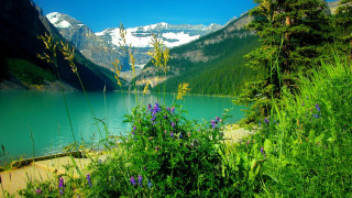Lake mountains trees blue sky 49 - mountain and trees free wallpaper for desktop
