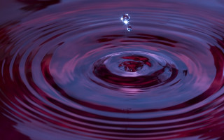 Red purple water droplet white 2 - water droplet free wallpaper