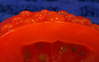 Red object water droplets blue - damien hirst free wallpaper