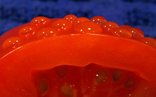 Red object water droplets blue 2 - damien hirst free wallpaper