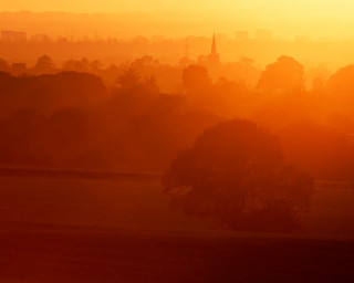 City sunset horse grazing foreground - distant free wallpaper