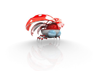 Red white rooster blue eye - a red tail free wallpaper