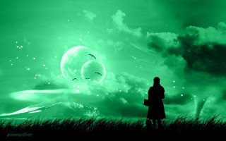 Person field bird flying green - a person free wallpaper