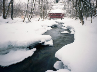 Stream snow forest red bridge 3 - alexander brook free wallpaper