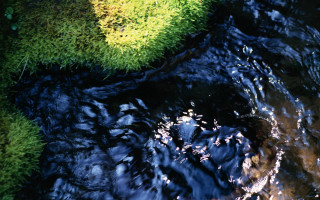 Stream grass blue sky clouds - alexander brook free wallpaper