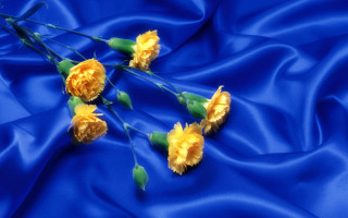 Yellow flowers blue satin background - a silk screen free wallpaper