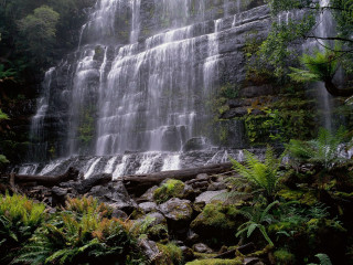 Waterfall forest rocks plants sunlight - lot of trees free wallpaper