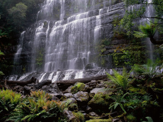 Waterfall large water trees nature - a large amount of water free wallpaper
