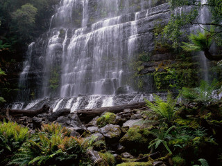 Waterfall large water trees nature 2 - a large amount of water free wallpaper