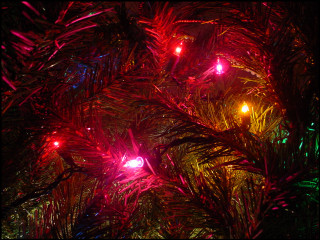 Christmas tree lights red ornament - branch free wallpaper