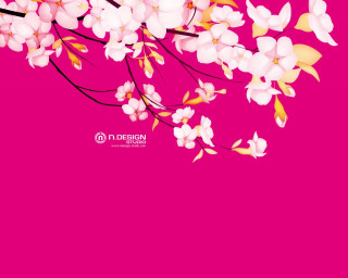 Pink background white flowers black - white flower free wallpaper