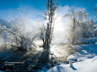 River snow trees blue sky 4 - the background and sun free wallpaper