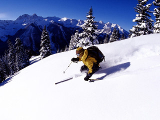 Person skiing snowy mountain trees - a snowy mountain free wallpaper