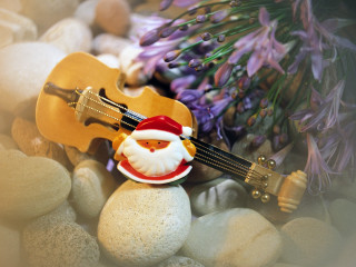 Violin santa toy rocks flowers - rock free wallpaper