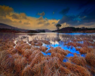 Lake tree clouds grass foreground - adam bruce thomson free wallpaper for desktop