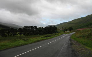 Curved road grassy hill trees - a curve in the middle of it free wallpaper