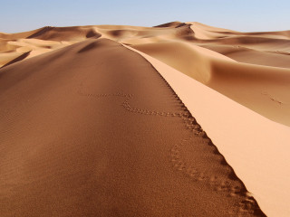Desert sand dunes sky clouds 5 - sand free wallpaper