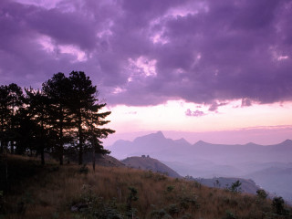 Purple sky clouds trees hill 3 - a hill side free wallpaper