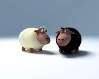 Two sheep blue background ambient - institutional free wallpaper