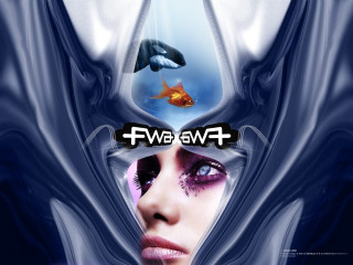 Woman dolphin fish power image 3 - bernard fleetwoodwalker free wallpaper
