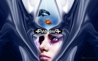 Woman fish dolphin background wave - everett warner free wallpaper