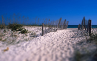 Beach path sand dunes grass - tilt shift free wallpaper