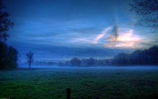 Field fence trees cloudy sky 2 - a fence and trees free wallpaper