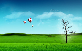 Tree field hotairballoons loneforeground magicrealism - hot free wallpaper