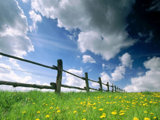Field fence flowers grass cloudy 2 - cloudy free wallpaper