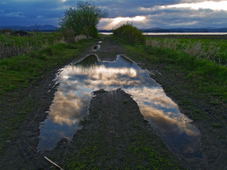 Road puddles cloudy sky background - a road free wallpaper