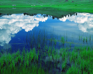 Large body water green grass 2 - the water free wallpaper