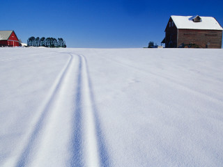 Snow covered field barn red 2 - field free wallpaper