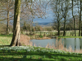 Pond field trees fence mountain - alexander brook free wallpaper