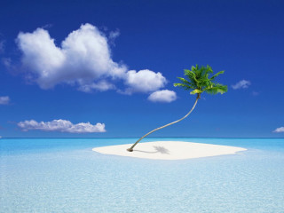 Lone palm island ocean blue - free bikini wallpaper