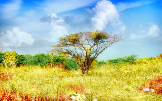 Tree field sky background clouds 2 - impressionist painting free wallpaper