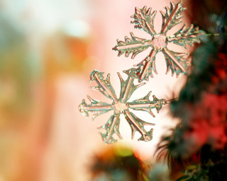 Snowflake closeup tree branch blurry - naive free wallpaper
