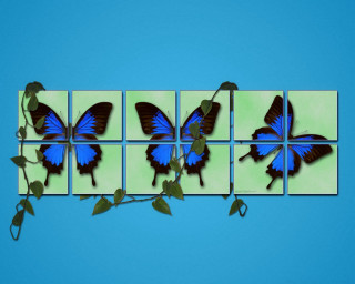 Blue butterfly green wall leaves - video art free wallpaper