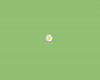 Single flower green background white - minimalist free wallpaper