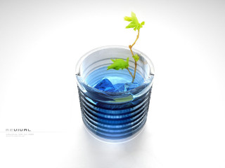 Small plant glass water white 2 - a white surface free wallpaper