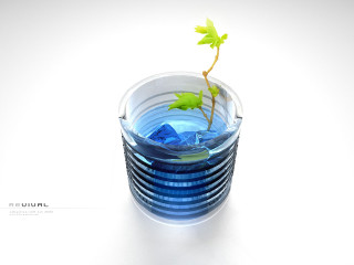 Small plant glass water white - a white surface free wallpaper